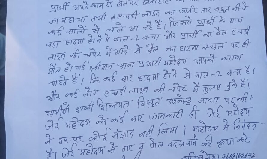 जेई की लापरवाही से हुआ बड़ा हादसा एलटी लाइन के करंट से बैल की मौके पर हुई मौत