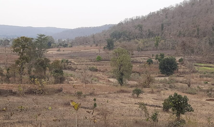 निस्तार संसाधनों की अनदेखी*   प्राकृतिक संसाधनों और कॉमन्स, जैसे सामुदायिक भूमि, वन, चारागाह और जल निकाय स्थानीय