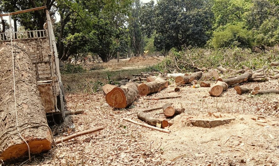 ब्रेकिंग न्यूज़ मानिकपुर वन क्षेत्र काला कांकर से