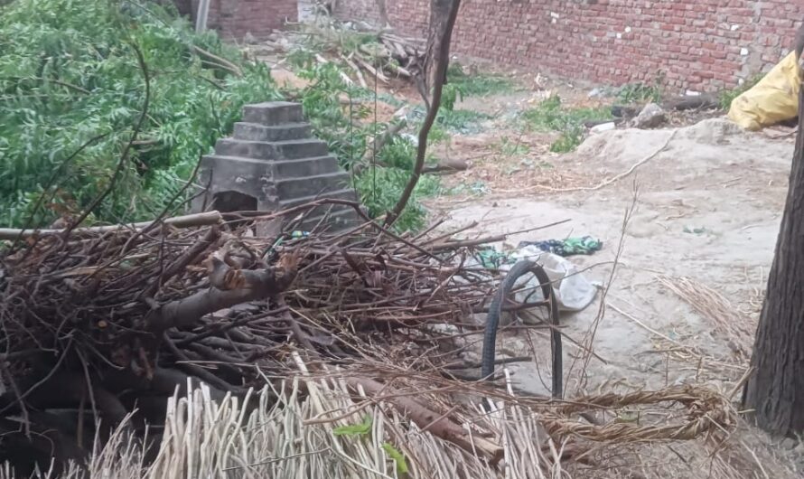 बाबागंज प्रतापगढ़*       *जेठ माह के महीने में काटे जा रहे छायादार हरा नीम का पेड़* 